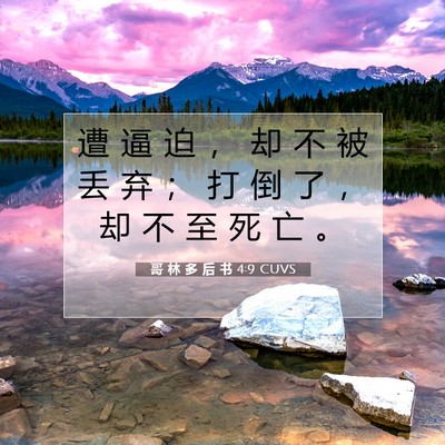 Picture 07 - 哥 林 多 后 书 4:9 CUVS - 遭 逼 迫 ， 却 不 被 丢 弃 ； 打 倒 - Bible Verse Picture