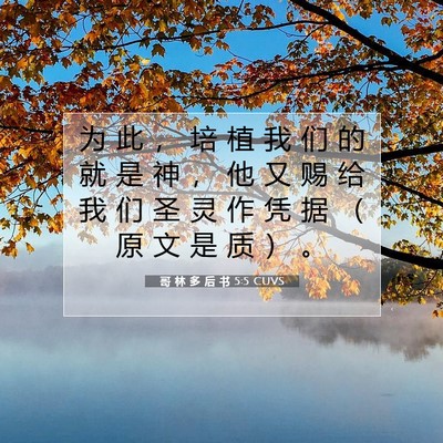 Picture 07 - 哥 林 多 后 书 5:5 CUVS - 为 此 ， 培 植 我 们 的 就 是 神 ， - Bible Verse Picture