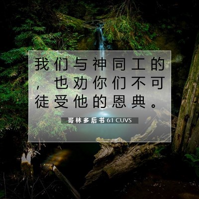 Picture 07 - 哥 林 多 后 书 6:1 CUVS - 我 们 与 神 同 工 的 ， 也 劝 你 们 - Bible Verse Picture
