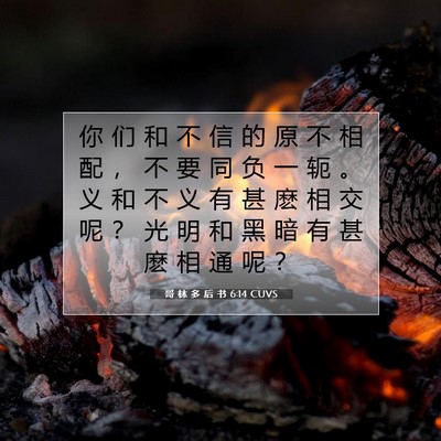 Picture 07 - 哥 林 多 后 书 6:14 CUVS - 你 们 和 不 信 的 原 不 相 配 ， 不 - Bible Verse Picture
