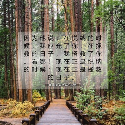Picture 07 - 哥 林 多 后 书 6:2 CUVS - 因 为 他 说 ： 在 悦 纳 的 时 候 ， - Bible Verse Picture