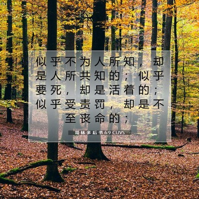 Picture 07 - 哥 林 多 后 书 6:9 CUVS - 似 乎 不 为 人 所 知 ， 却 是 人 所 - Bible Verse Picture
