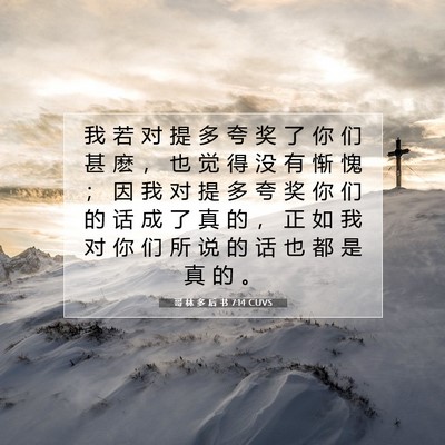 Picture 07 - 哥 林 多 后 书 7:14 CUVS - 我 若 对 提 多 夸 奖 了 你 们 甚 麽 - Bible Verse Picture