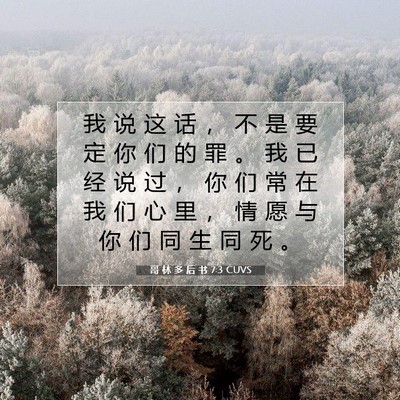 Picture 07 - 哥 林 多 后 书 7:3 CUVS - 我 说 这 话 ， 不 是 要 定 你 们 的 - Bible Verse Picture