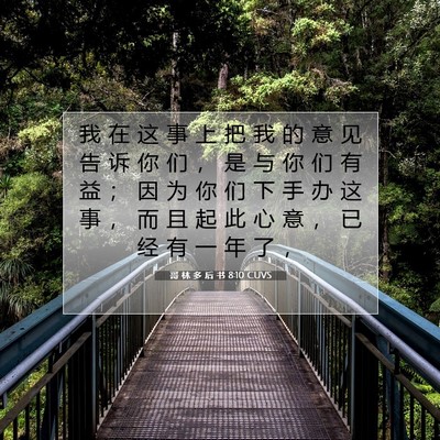 Picture 07 - 哥 林 多 后 书 8:10 CUVS - 我 在 这 事 上 把 我 的 意 见 告 诉 - Bible Verse Picture