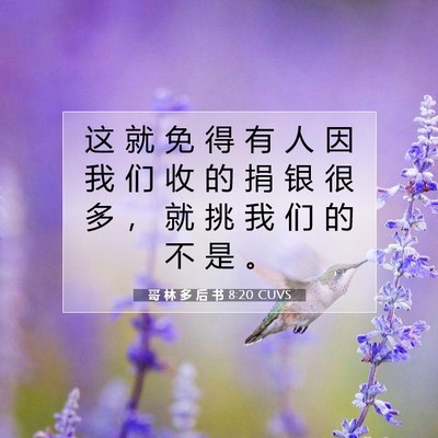 Picture 07 - 哥 林 多 后 书 8:20 CUVS - 这 就 免 得 有 人 因 我 们 收 的 捐 - Bible Verse Picture