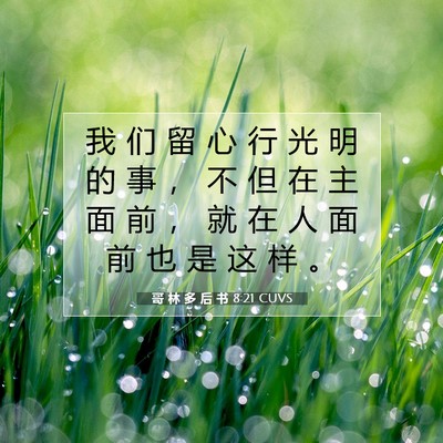 Picture 07 - 哥 林 多 后 书 8:21 CUVS - 我 们 留 心 行 光 明 的 事 ， 不 但 - Bible Verse Picture