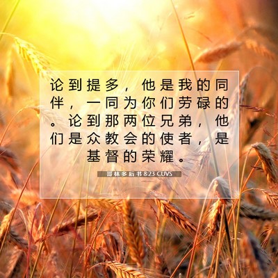 Picture 07 - 哥 林 多 后 书 8:23 CUVS - 论 到 提 多 ， 他 是 我 的 同 伴 ， - Bible Verse Picture