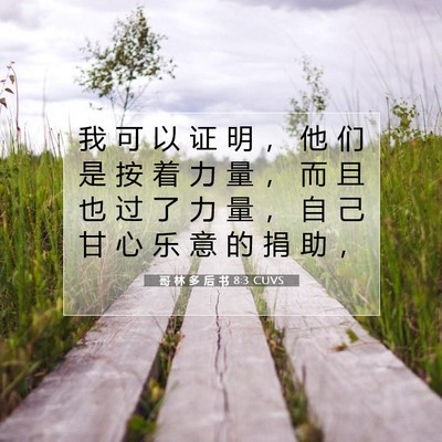 Picture 07 - 哥 林 多 后 书 8:3 CUVS - 我 可 以 证 明 ， 他 们 是 按 着 力 - Bible Verse Picture