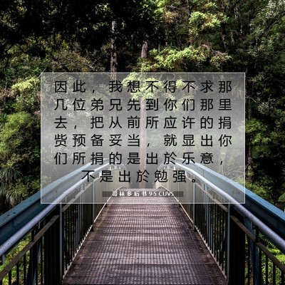 Picture 07 - 哥 林 多 后 书 9:5 CUVS - 因 此 ， 我 想 不 得 不 求 那 几 位 - Bible Verse Picture