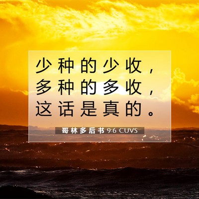 Picture 07 - 哥 林 多 后 书 9:6 CUVS - 少 种 的 少 收 ， 多 种 的 多 收 ， - Bible Verse Picture
