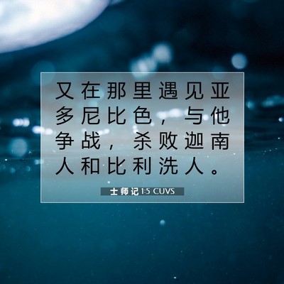 Picture 07 - 士 师 记 1:5 CUVS - 又 在 那 里 遇 见 亚 多 尼 比 色 ， - Bible Verse Picture