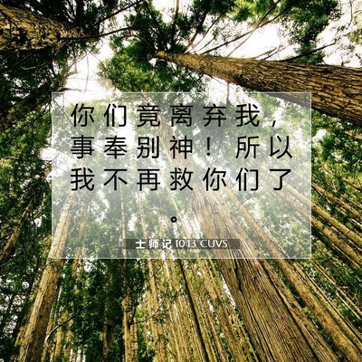 Picture 07 - 士 师 记 10:13 CUVS - 你 们 竟 离 弃 我 ， 事 奉 别 神 ！ - Bible Verse Picture