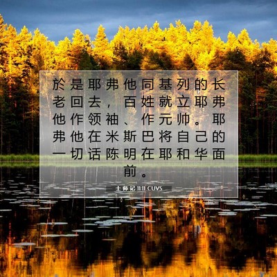 Picture 07 - 士 师 记 11:11 CUVS - 於 是 耶 弗 他 同 基 列 的 长 老 回 - Bible Verse Picture