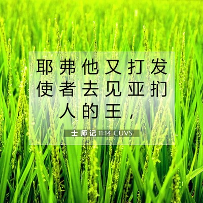 Picture 07 - 士 师 记 11:14 CUVS - 耶 弗 他 又 打 发 使 者 去 见 亚 扪 - Bible Verse Picture