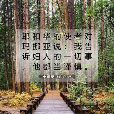 Picture 07 - 士 师 记 13:13 CUVS - 耶 和 华 的 使 者 对 玛 挪 亚 说 ： - Bible Verse Picture