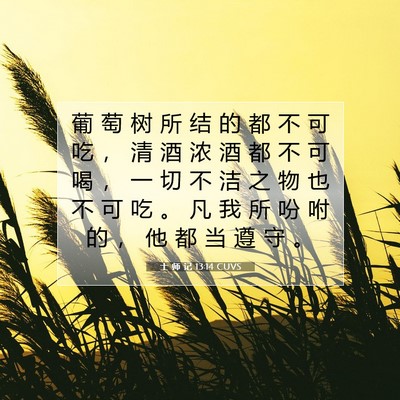 Picture 07 - 士 师 记 13:14 CUVS - 葡 萄 树 所 结 的 都 不 可 吃 ， 清 - Bible Verse Picture