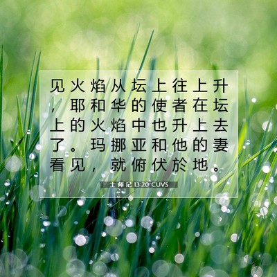 Picture 07 - 士 师 记 13:20 CUVS - 见 火 焰 从 坛 上 往 上 升 ， 耶 和 - Bible Verse Picture