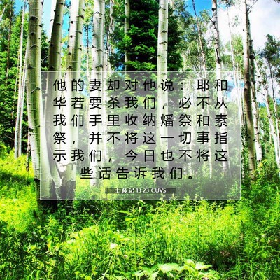 Picture 07 - 士 师 记 13:23 CUVS - 他 的 妻 却 对 他 说 ： 耶 和 华 若 - Bible Verse Picture