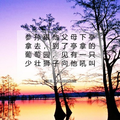Picture 07 - 士 师 记 14:5 CUVS - 参 孙 跟 他 父 母 下 亭 拿 去 ， 到 - Bible Verse Picture