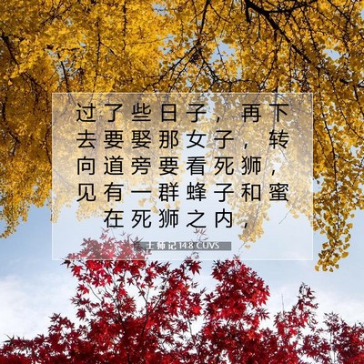Picture 07 - 士 师 记 14:8 CUVS - 过 了 些 日 子 ， 再 下 去 要 娶 那 - Bible Verse Picture
