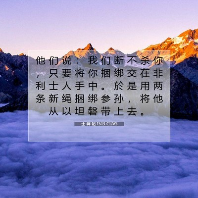 Picture 07 - 士 师 记 15:13 CUVS - 他 们 说 ： 我 们 断 不 杀 你 ， 只 - Bible Verse Picture