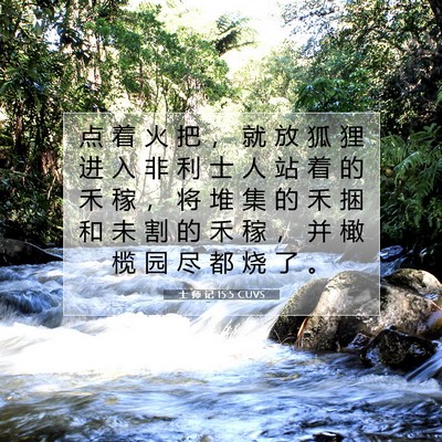 Picture 07 - 士 师 记 15:5 CUVS - 点 着 火 把 ， 就 放 狐 狸 进 入 非 - Bible Verse Picture