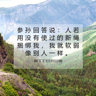 Picture 07 - 士 师 记 16:11 CUVS - 参 孙 回 答 说 ： 人 若 用 没 有 使 - Bible Verse Picture