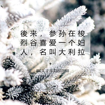 Picture 07 - 士 师 记 16:4 CUVS - 後 来 ， 参 孙 在 梭 烈 谷 喜 爱 一 - Bible Verse Picture