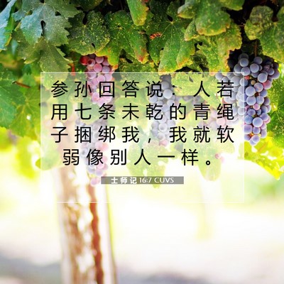 Picture 07 - 士 师 记 16:7 CUVS - 参 孙 回 答 说 ： 人 若 用 七 条 未 - Bible Verse Picture