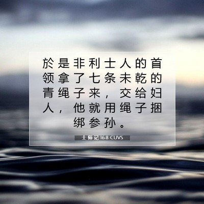 Picture 07 - 士 师 记 16:8 CUVS - 於 是 非 利 士 人 的 首 领 拿 了 七 - Bible Verse Picture