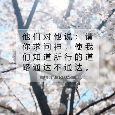 Picture 07 - 士 师 记 18:5 CUVS - 他 们 对 他 说 ： 请 你 求 问 神 ， - Bible Verse Picture
