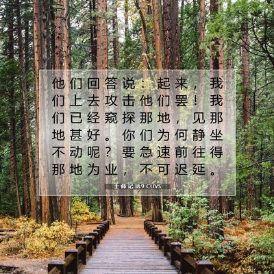 Picture 07 - 士 师 记 18:9 CUVS - 他 们 回 答 说 ： 起 来 ， 我 们 上 - Bible Verse Picture