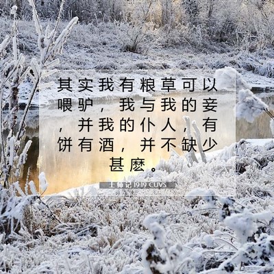 Picture 07 - 士 师 记 19:19 CUVS - 其 实 我 有 粮 草 可 以 喂 驴 ， 我 - Bible Verse Picture