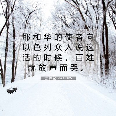 Picture 07 - 士 师 记 2:4 CUVS - 耶 和 华 的 使 者 向 以 色 列 众 人 - Bible Verse Picture