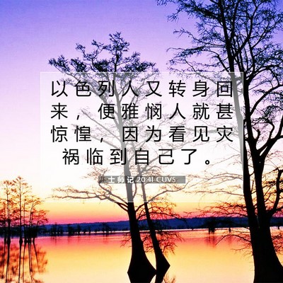 Picture 07 - 士 师 记 20:41 CUVS - 以 色 列 人 又 转 身 回 来 ， 便 雅 - Bible Verse Picture