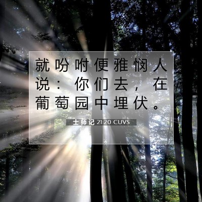 Picture 07 - 士 师 记 21:20 CUVS - 就 吩 咐 便 雅 悯 人 说 ： 你 们 去 - Bible Verse Picture