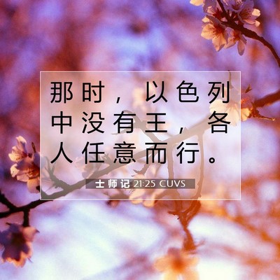 Picture 07 - 士 师 记 21:25 CUVS - 那 时 ， 以 色 列 中 没 有 王 ， 各 - Bible Verse Picture