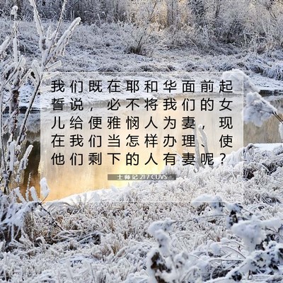 Picture 07 - 士 师 记 21:7 CUVS - 我 们 既 在 耶 和 华 面 前 起 誓 说 - Bible Verse Picture