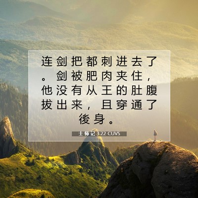 Picture 07 - 士 师 记 3:22 CUVS - 连 剑 把 都 刺 进 去 了 。 剑 被 肥 - Bible Verse Picture