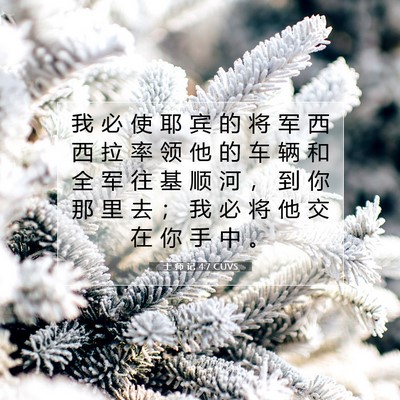 Picture 07 - 士 师 记 4:7 CUVS - 我 必 使 耶 宾 的 将 军 西 西 拉 率 - Bible Verse Picture