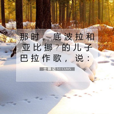 Picture 07 - 士 师 记 5:1 CUVS - 那 时 ， 底 波 拉 和 亚 比 挪 ? 的 儿 - Bible Verse Picture
