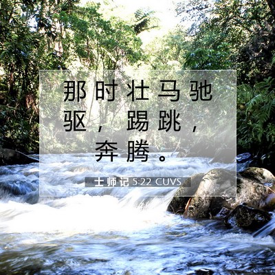 Picture 07 - 士 师 记 5:22 CUVS - 那 时 壮 马 驰 驱 ， 踢 跳 ， 奔 腾 - Bible Verse Picture