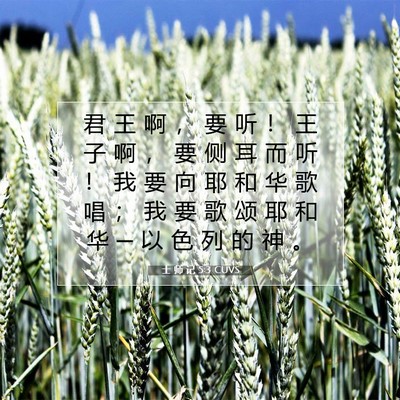 Picture 07 - 士 师 记 5:3 CUVS - 君 王 啊 ， 要 听 ！ 王 子 啊 ， 要 - Bible Verse Picture