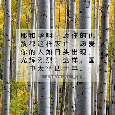 Picture 07 - 士 师 记 5:31 CUVS - 耶 和 华 啊 ， 愿 你 的 仇 敌 都 这 - Bible Verse Picture