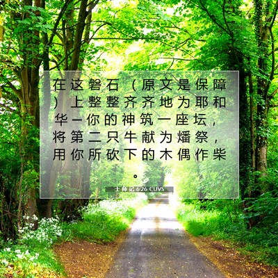 Picture 07 - 士 师 记 6:26 CUVS - 在 这 磐 石 （ 原 文 是 保 障 ） 上 - Bible Verse Picture
