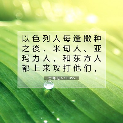 Picture 07 - 士 师 记 6:3 CUVS - 以 色 列 人 每 逢 撒 种 之 後 ， 米 - Bible Verse Picture