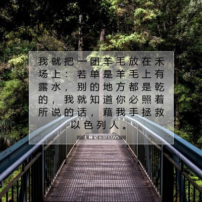 Picture 07 - 士 师 记 6:37 CUVS - 我 就 把 一 团 羊 毛 放 在 禾 场 上 - Bible Verse Picture