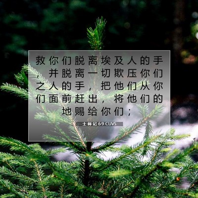 Picture 07 - 士 师 记 6:9 CUVS - 救 你 们 脱 离 埃 及 人 的 手 ， 并 - Bible Verse Picture