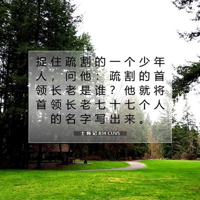 Picture 07 - 士 师 记 8:14 CUVS - 捉 住 疏 割 的 一 个 少 年 人 ， 问 - Bible Verse Picture